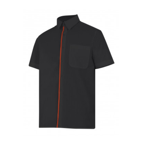 CAMISA P531 VELILLA