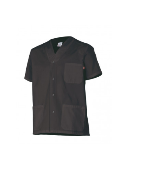 CASACA 535201  VELILLA