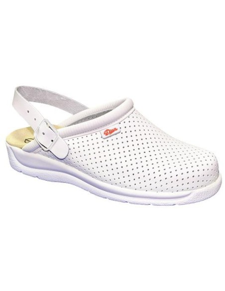 ZUECO PISA CORREA DIAN